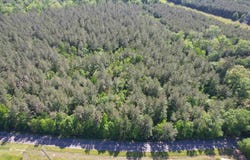 Tbd La Hwy 63, Clinton, LA 70722