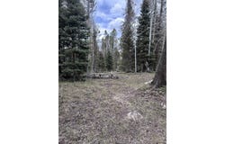 766 Crest Drive, Cimarron, CO 81220