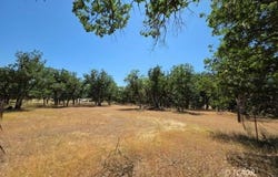 480 Oliva Dr, Hayfork, CA 96041