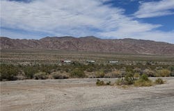 Pinto, CA 92239