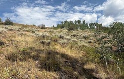 1874 GCR 162, Kremmling, CO 80459
