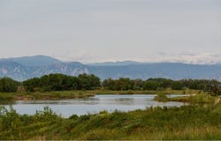 4331 GYPSUM AVE, Mead, CO 80504