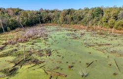 W Mitchell Rd # 1, Greenfield, TN 38230
