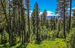 Lot 3 Hideout Road, Donnelly, ID 83615