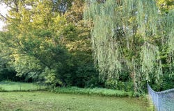 4008 Woodchase Drive, Erlanger, KY 41018