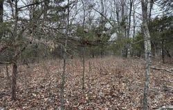 547 MC 3002, Yellville, AR 72687
