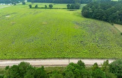 TBD LOT 2 Tansy Rd., Loris, SC 29569