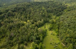517 Lake Road, Fort Gay, WV 25514