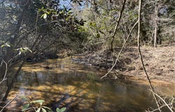 0 Taylor Mill Road, Elba, AL 36323