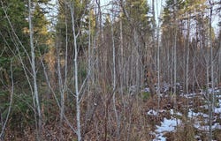 OFF FOREST ROAD 3979, Watersmeet, MI 49969