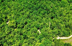 165A Open Fork Road, Olive Hill, KY 41164