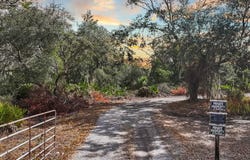 12730 BULLFROG CREEK Road, GIBSONTON, FL 33534