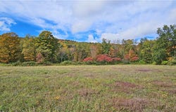 County Route 41, Roxbury, NY 12474