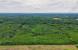 2502 Hwy 163 Highway, Wynne, AR 72396