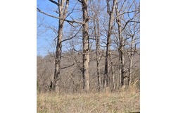 000 Riverside Drive, Mammoth Spring, AR 72554