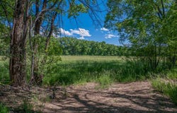477 County Road 142, Medanales, NM 87548
