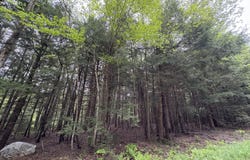 25-P Pill Dr, Becket, MA 01223