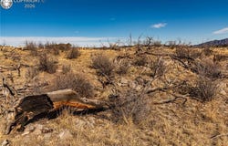 E Path, Cotopaxi, CO 81223
