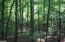 1558 Jamestown, Menlo, GA 30731