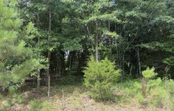Norway Road, Orangeburg, SC 29115