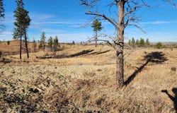 669 OLD STAGE ROAD, MT 59058