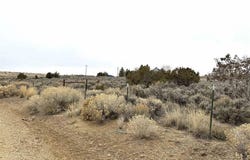 Highway 184, Lewis, CO 81327