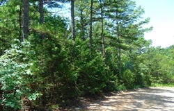 tbd Peach Creek Road, Fanshawe, OK 74935