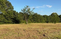 Hempstead 49, Fulton, AR 71838