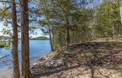 21425 Black Oak Drive, Garfield, AR 72732