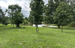 Hwy 328 E, Maynard, AR 72444