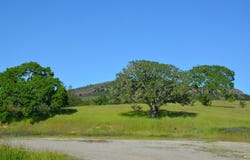2186 Monticello Road, Napa, CA 94558