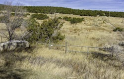 Brannan Road, Tijeras, NM 87059