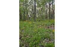 305 & 309 E Sugar Lake Drive, Mound City, KS 66055