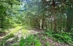 Tbd Bluebird Lane, Rolla, MO 65401