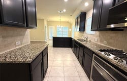 10017 Long Branch Drive, McKinney, TX 75071
