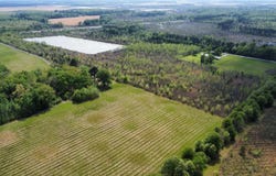 00 E Hwy 64, Bald Knob, AR 72010
