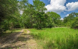 4900 Andreas Road, Round Top, TX 78954