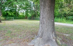 1609 Plum, Texarkana, TX 75501