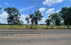 12.35 Acres Lot 13 HWY 30, Bedias, TX 77831