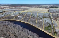 Lot E County Road 79, Littlefork, MN 56653