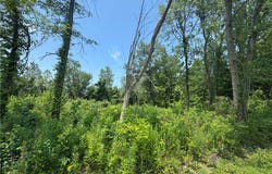 Denver Avenue, Lorain, OH 44055