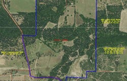 3141 Rogers Road, Jacksboro, TX 76458