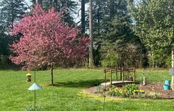 29321 RIVER ROCK Way, MILTON, DE 19968