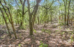 115 CORAL Avenue, Interlachen, FL 32148