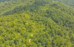 Wingfield Mountain Road, SANDSTONE, WV 25976