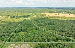 993 Dahlia Road, Gilmer, TX 75644