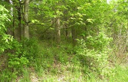 Route 9H/Oldpost Road, Ghent, NY 12075
