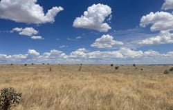 104 N Weimer Road, Edgewood, NM 87015