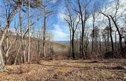 Widow Mountain Drive, McGrady, NC 28649
