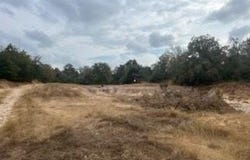 Lot 18 Woodland Trail Ranch, Caldwell, TX 77836